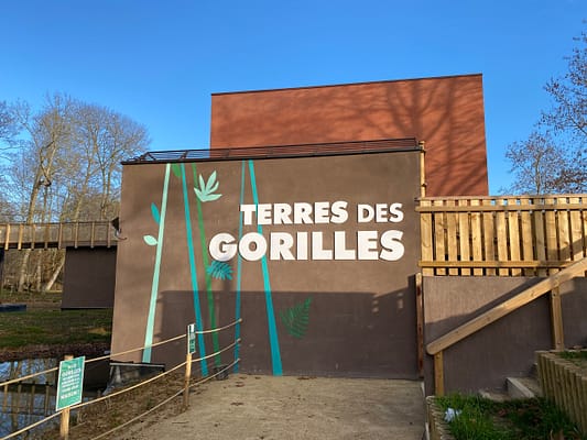 Décor peint en extérieur par Terres de couleur, fresque murale, peinture décorative